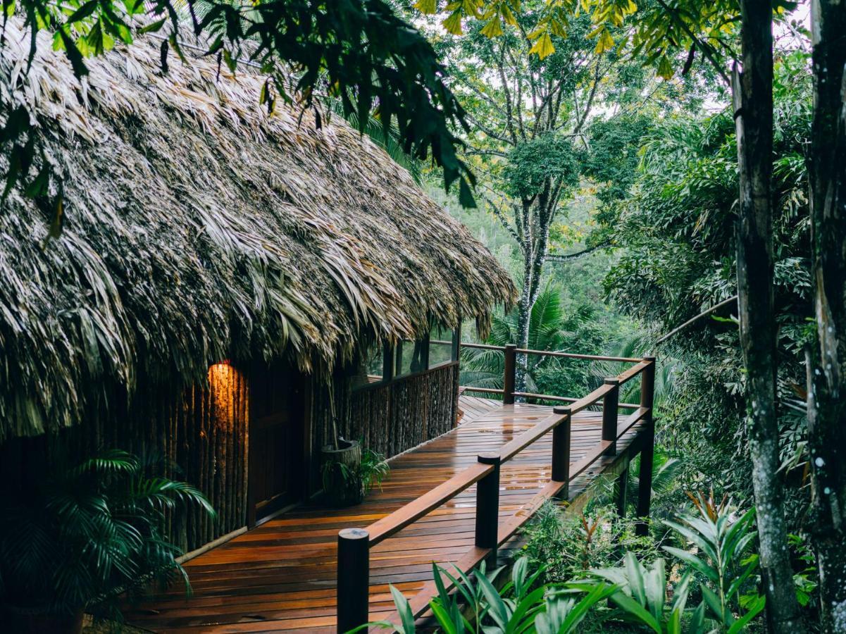 Blancaneaux Lodge By Francis Ford Coppola San Ignacio Dış mekan fotoğraf