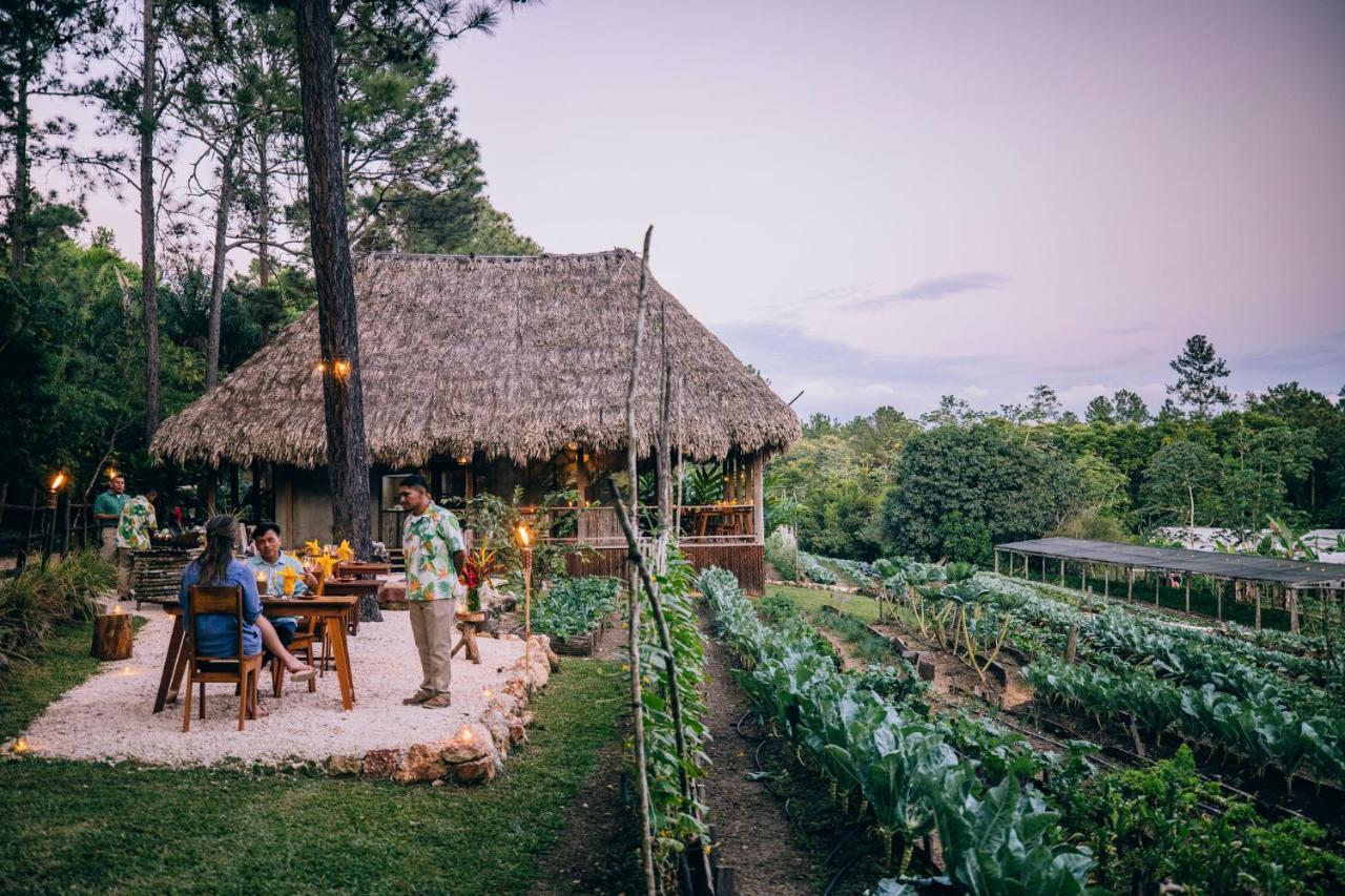 Blancaneaux Lodge By Francis Ford Coppola San Ignacio Dış mekan fotoğraf