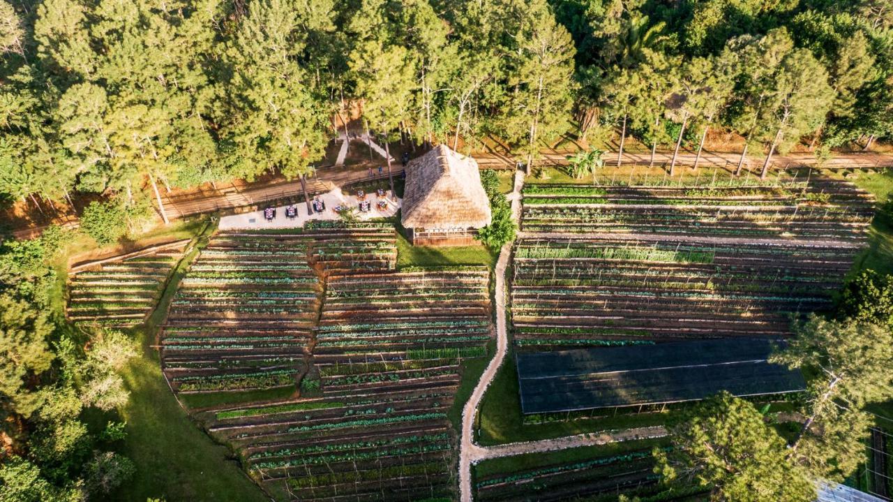 Blancaneaux Lodge By Francis Ford Coppola San Ignacio Dış mekan fotoğraf
